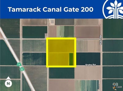 /international/us/200-tamarack-canal-westmorland-ca-110090737615/