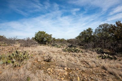 /international/us/16719-lot-1-salt-branch-loop-lot-1-mason-tx-110105847300/