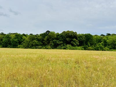 /international/us/19-acres-highway-55-andalusia-al-110107583186/
