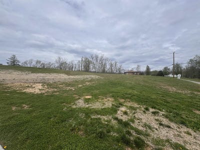 /international/us/3808-blue-sulphur-road-ona-wv-110107166287/