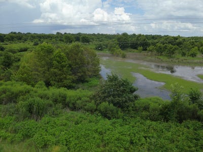 /international/us/0-catfish-ln-winnsboro-la-110101070613/?lang=zh-tw