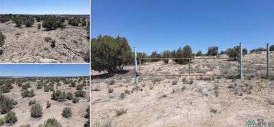 /international/us/nya-road-3160-aztec-nm-110108230899/