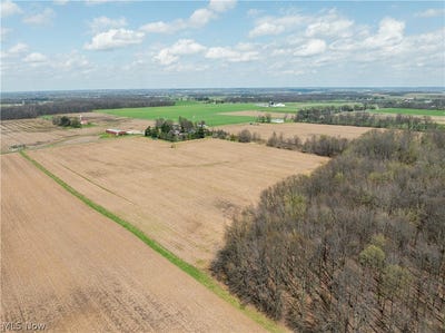 /international/us/steiner-road-creston-oh-110107538698/
