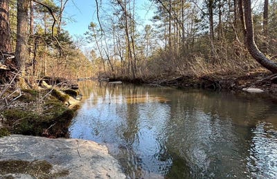 /international/us/countryside-dr-quitman-ar-110106616754/