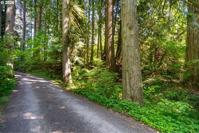 /international/us/e-zig-zag-river-rd-rhododendron-or-110107210725/