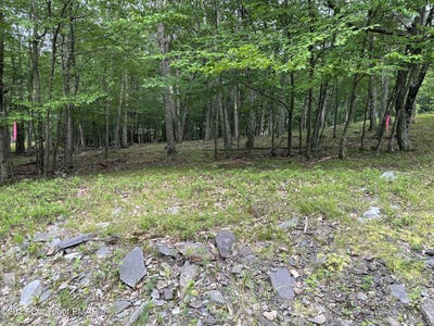 /international/us/cardinal-drive-lot-7-bushkill-pa-110085578002/