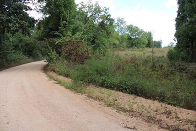 /international/us/tomahawk-slab-road-lot-0-st-joe-ar-110101974645/