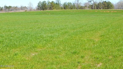 /international/us/7-graysport-crossing-road-lot-7-gore-springs-ms-110089772118/