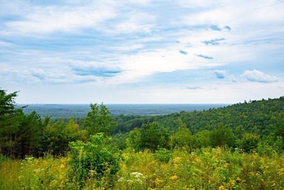 /international/us/1525-barker-road-palmer-tn-110094520122/