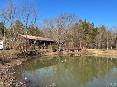 /international/us/833-county-road-160-des-arc-mo-110107486311/