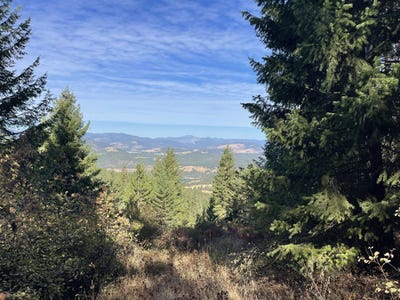 /international/us/40xx-bissel-rd-hunters-wa-110102936577/