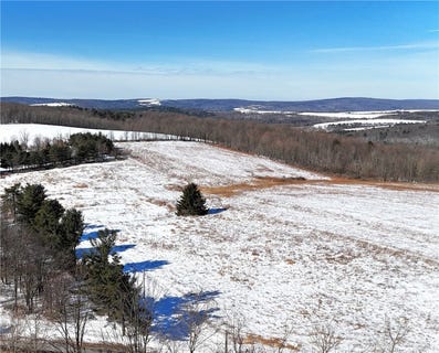 /international/us/17-kimble-road-beaver-dams-ny-110105505810/