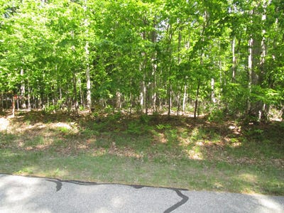 /international/us/11190-hassler-woods-trail-alanson-mi-110108548174/