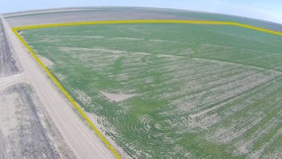 /international/us/s-2-11-24-38-kearny-co-lakin-ks-110105865756/