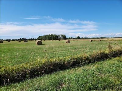 /international/us/24897-899-county-route-57-lot-b-three-mile-bay-ny-110102005312/