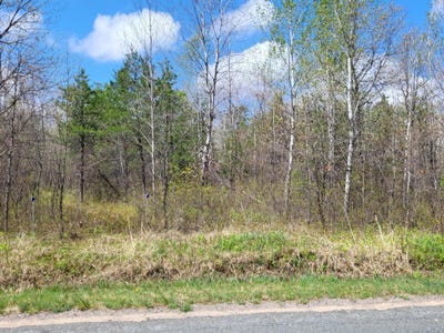 /international/us/tower-line-road-beecher-wi-110099488046/