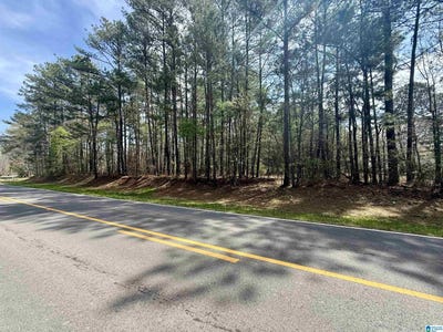 /international/us/11490-highway-55-lot-1ab-westover-al-110106821388/