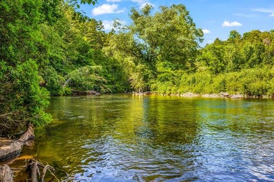 /international/us/lot-17-misty-mountain-trail-ellijay-ga-110101093737/