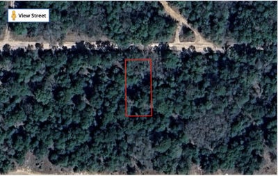 /international/us/tbd-5th-street-interlachen-fl-110100815224/