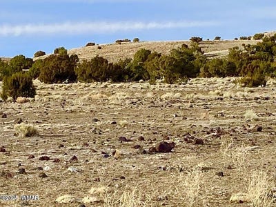 /international/us/tbd-cr-5201-concho-az-110097773525/
