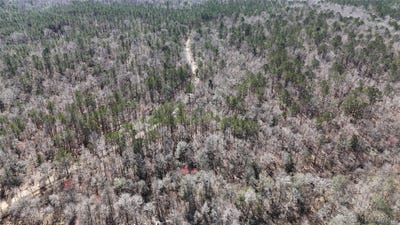 /international/us/old-meriwether-trail-panola-al-110106789313/