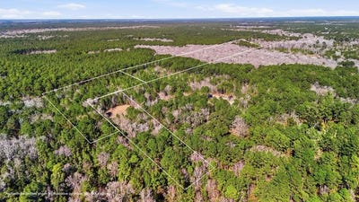 /international/us/gertie-lane-cordesville-sc-110120530409/
