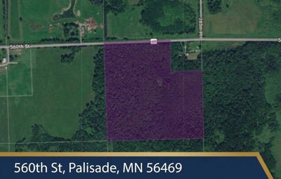 /international/us/560th-street-palisade-mn-110120588150/