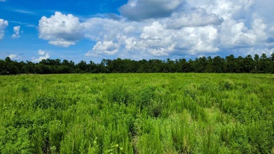 /international/us/01-s-hwy-15-south-saint-george-sc-110101001207/?lang=zh-tw