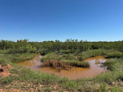 /international/us/00003-memorial-way-snyder-tx-110094849413/