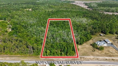 /international/us/hwy-361-steinhatchee-fl-110092095246/