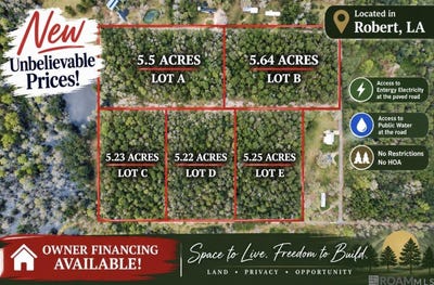 /international/us/5-25-acres-heritage-acres-ln-robert-la-110110200599/