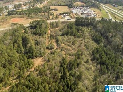 /international/us/12493-stemley-road-lot-30-acres-lincoln-al-110088927393/