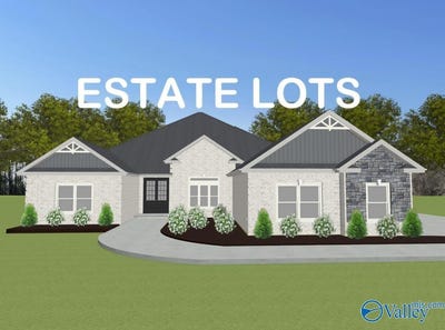/international/us/mckinley-a1-newby-chapel-road-athens-al-110101434327/