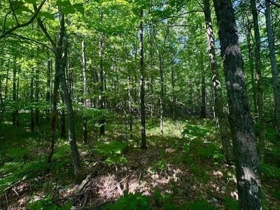/international/us/n8823-dickerson-avenue-willard-wi-110108637618/?lang=zh-cn