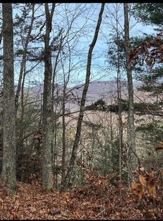 /international/us/288-frost-bottom-road-oliver-springs-tn-110120528019/
