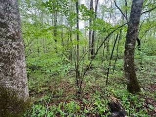 /international/us/lot-103-bear-den-trl-grandview-tn-110099128035/