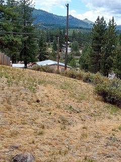 /international/us/358-e-quincy-avenue-lot-8-portola-ca-110100421120/
