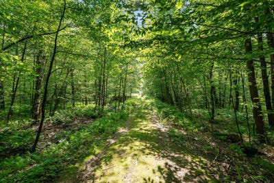 /international/us/115-stone-hill-road-bolton-vt-110100372753/