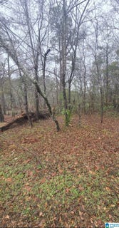 /international/us/511-lakeview-circle-lot-0-harpersville-al-110104789823/