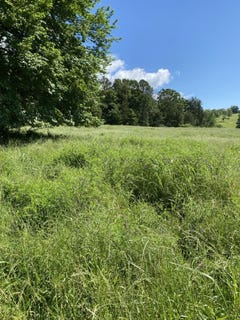 /international/us/2-acres-on-melton-road-lot-2-acres-briggsville-ar-110107951488/