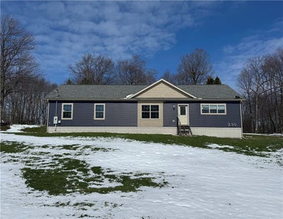 /international/us/230-grandview-rd-bullskin-twp-pa-110106553891/