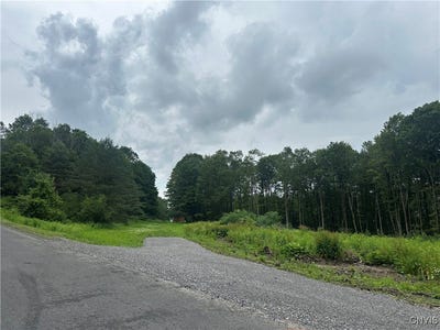 /international/us/0000-murphy-rd-road-tully-ny-110100621732/