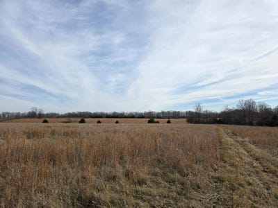 /international/us/336-bradford-cemetery-rd-ravenden-ar-110104924823/