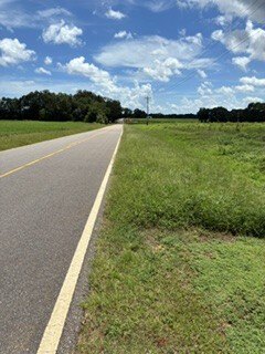 /international/us/cr-1-s-and-hwy-167-n-clayhatchee-al-110119643153/