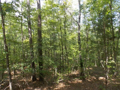 /international/us/11-doe-run-lincolnton-ga-110087103676/?lang=es