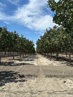 /international/us/0-lansing-ave-lemoore-ca-110101027662/?lang=zh-tw