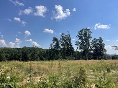 /international/us/lot-21-laura-boling-loop-rd-strawberry-plains-tn-110100722453/?lang=zh-cn