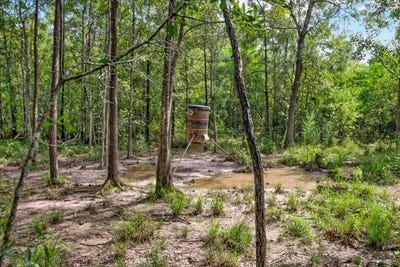 /international/us/texas-state-hwy-62-buna-tx-110102152948/