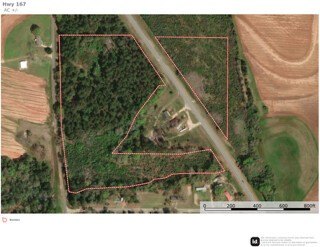 /international/us/hwy-167-tract-1-clayhatchee-al-110119722144/