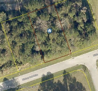 /international/us/4925-hickory-oak-drive-brooksville-fl-110101424303/?lang=it